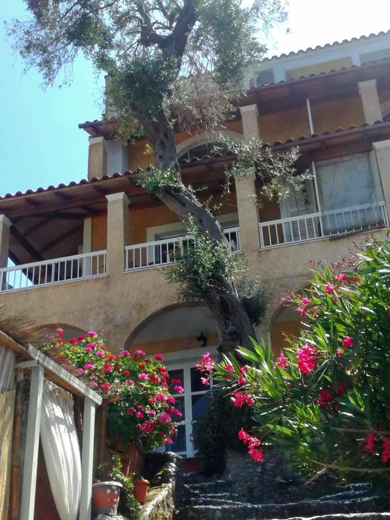 Kohyli Beachfront House Agia Pelagia Chlomou Extérieur photo