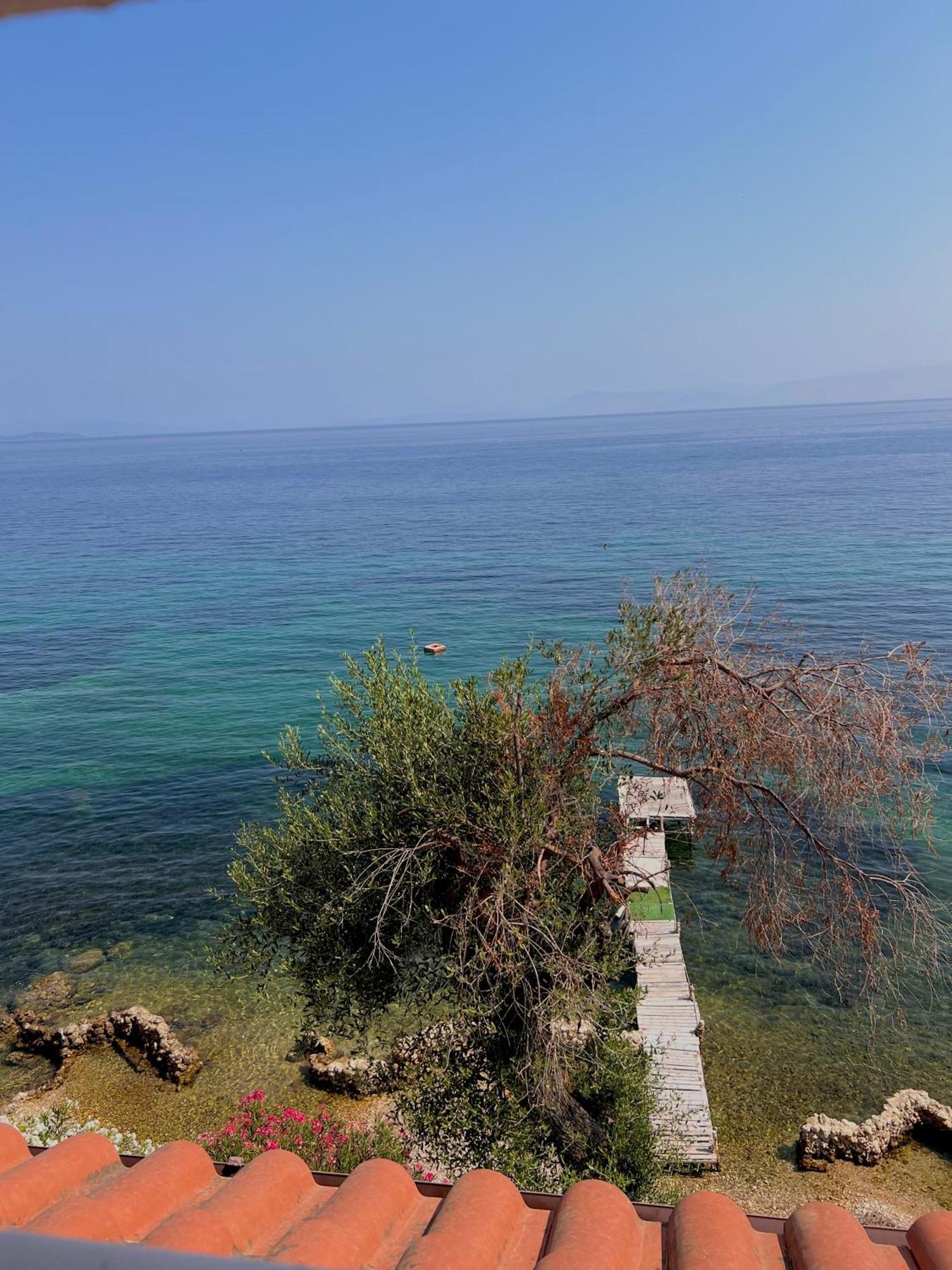 Kohyli Beachfront House Agia Pelagia Chlomou Extérieur photo